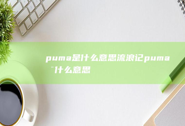 puma是什么意思流浪记puma是什么意思