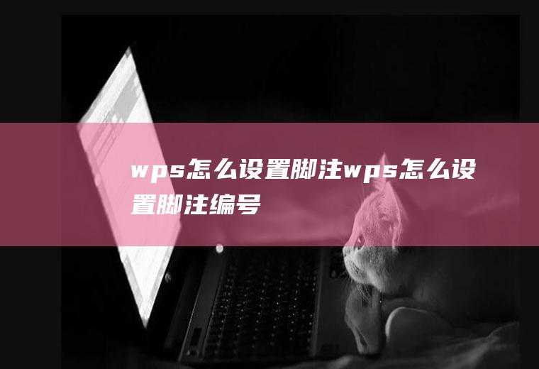 wps怎么设置脚注wps怎么设置脚注编号