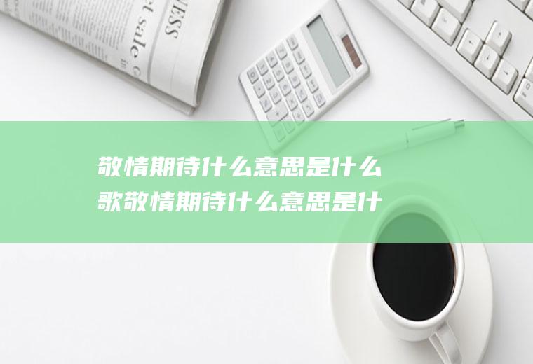 敬情期待什么意思是什么歌敬情期待什么意思是什么歌名