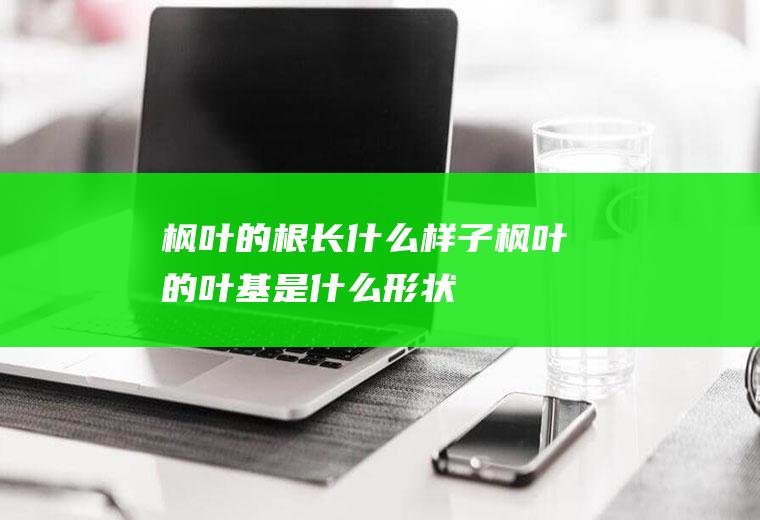 枫叶的根长什么样子枫叶的叶基是什么形状