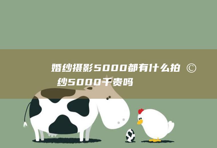 婚纱摄影5000都有什么拍婚纱5000千贵吗