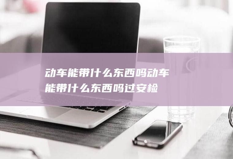 动车能带什么东西吗动车能带什么东西吗过安检