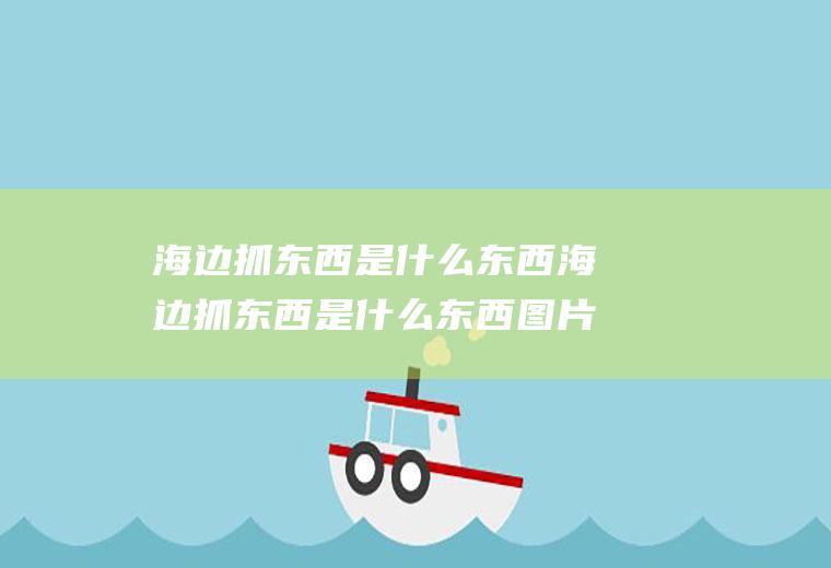 海边抓东西是什么东西海边抓东西是什么东西图片