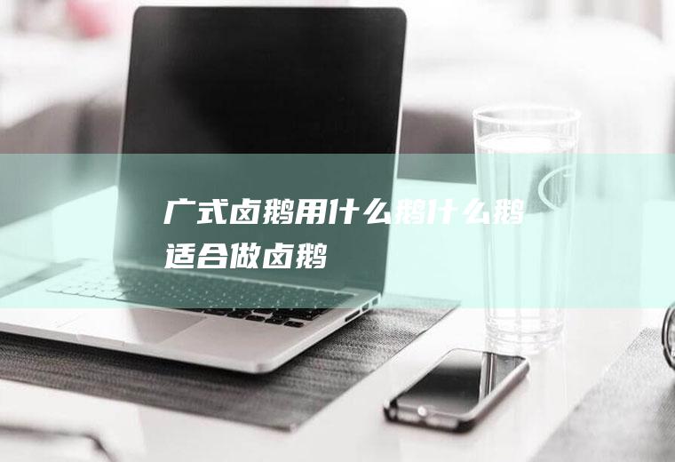 广式卤鹅用什么鹅什么鹅适合做卤鹅