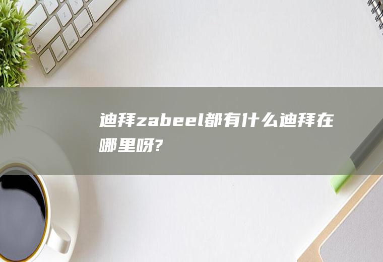 迪拜zabeel都有什么迪拜在哪里呀?