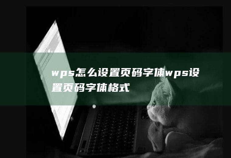 wps怎么设置页码字体wps设置页码字体格式