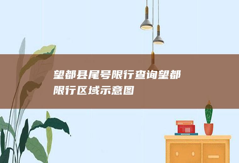 望都县尾号限行查询望都限行区域示意图