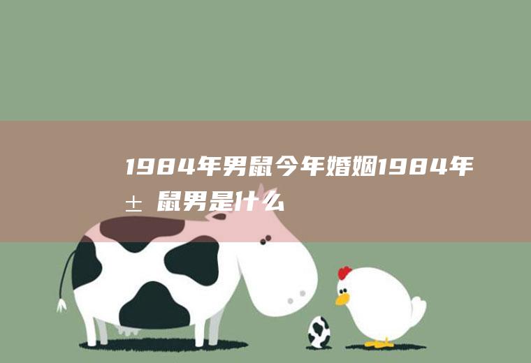 1984年男鼠今年婚姻1984年属鼠男是什么命婚配