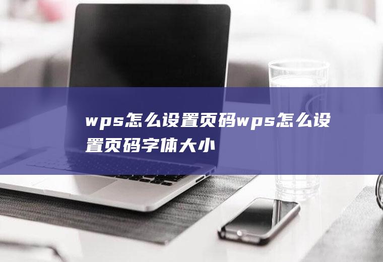 wps怎么设置页码wps怎么设置页码字体大小