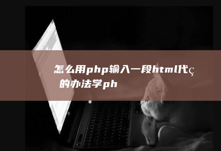 怎么用php输入一段html代码的办法学php要学html