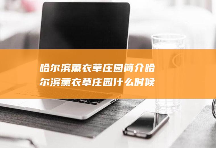 哈尔滨薰衣草庄园简介哈尔滨薰衣草庄园什么时候去最好