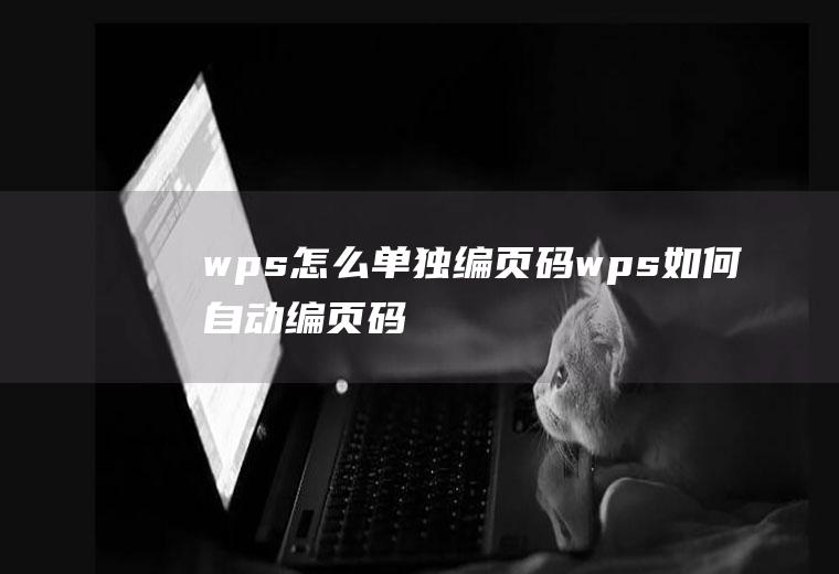 wps怎么单独编页码wps如何自动编页码