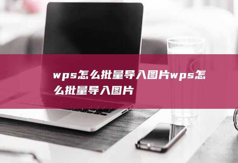 wps怎么批量导入图片wps怎么批量导入图片名称