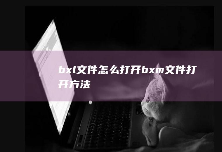 bxl文件怎么打开bxm文件打开方法