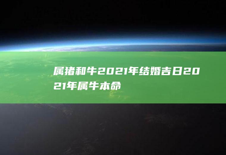 属猪和牛2021年结婚吉日2021年属牛本命年和属猪的结婚