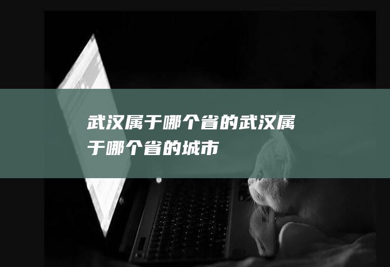 武汉属于哪个省的武汉属于哪个省的城市