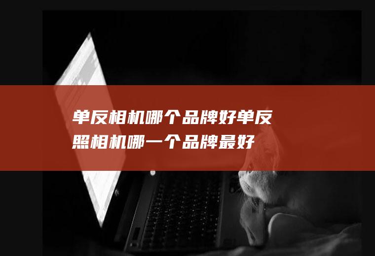 单反相机哪个品牌好单反照相机哪一个品牌最好