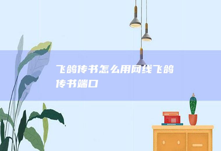 飞鸽传书怎么用网线飞鸽传书端口