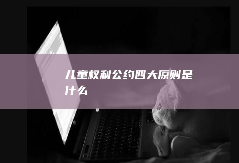 儿童权利公约四大原则是什么