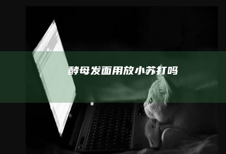 酵母发面用放小苏打吗