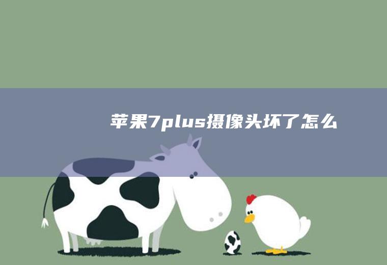 苹果7plus摄像头坏了怎么办