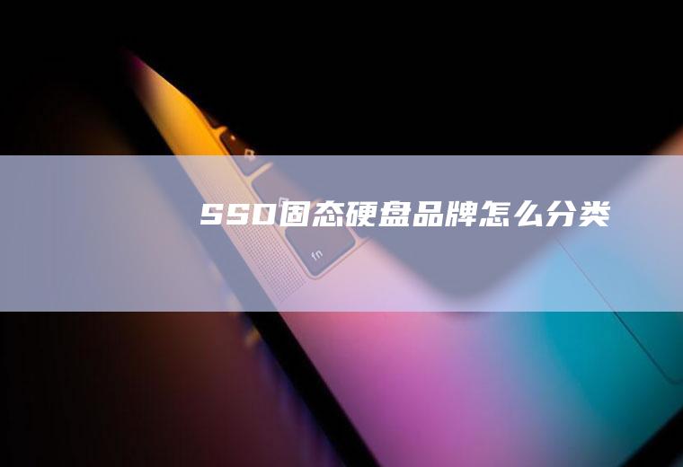 SSD固态硬盘品牌怎么分类