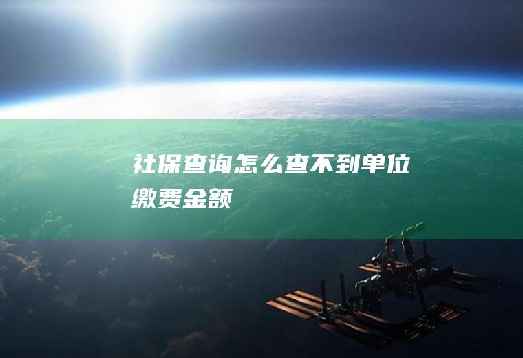 社保查询怎么查不到单位缴费金额