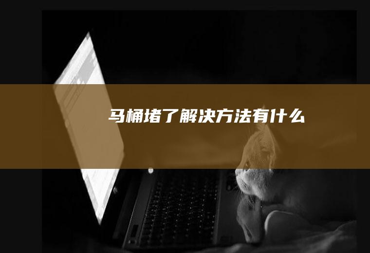 马桶堵了解决方法有什么