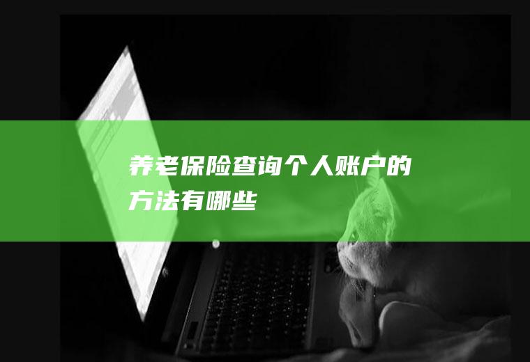 养老保险查询个人账户的方法有哪些