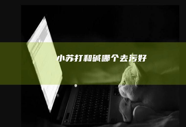 小苏打和碱哪个去污好