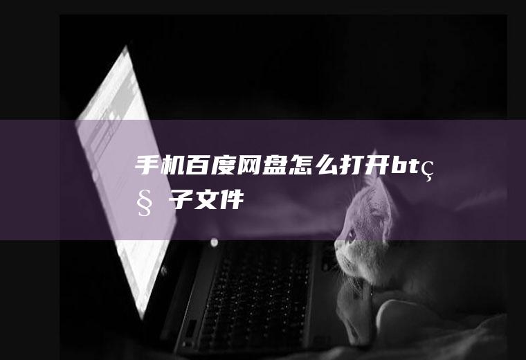 手机百度网盘怎么打开bt种子文件