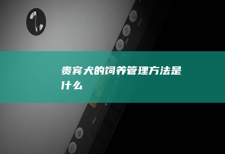 贵宾犬的饲养管理方法是什么