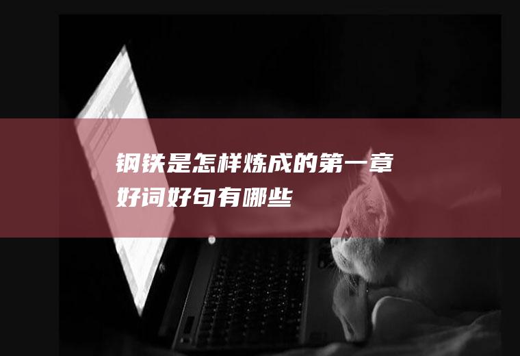 《钢铁是怎样炼成的》第一章好词好句有哪些