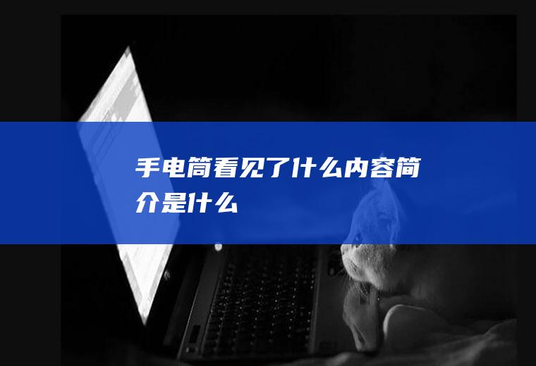 《手电筒看见了什么》内容简介是什么