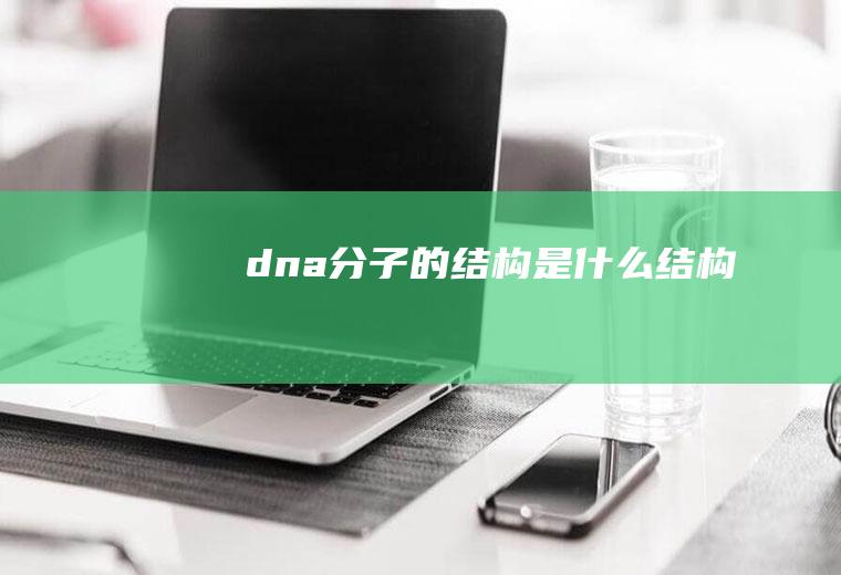 dna分子的结构是什么结构