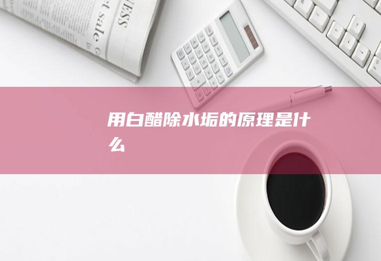 用白醋除水垢的原理是什么