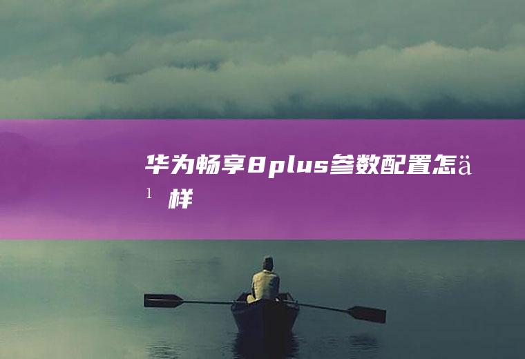 华为畅享8plus参数配置怎么样