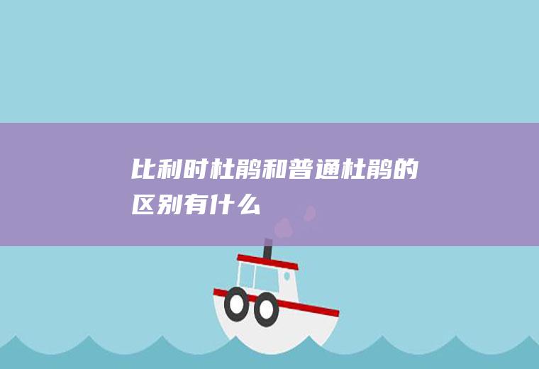 比利时杜鹃和普通杜鹃的区别有什么