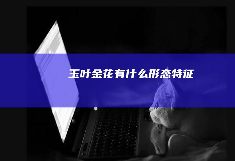 玉叶金花有什么形态特征