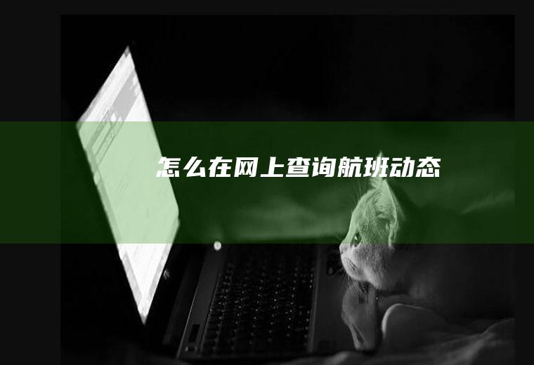 怎么在网上查询航班动态