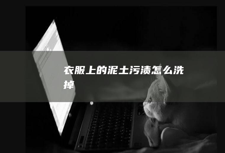 衣服上的泥土污渍怎么洗掉