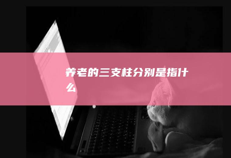 养老的三支柱分别是指什么