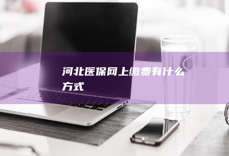 河北医保网上缴费有什么方式