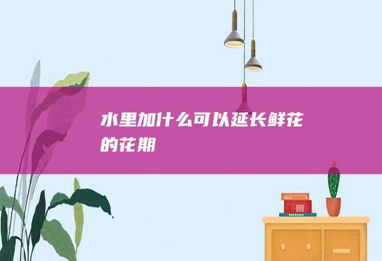 水里加什么可以延长鲜花的花期