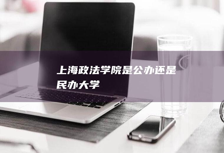 上海政法学院是公办还是民办大学