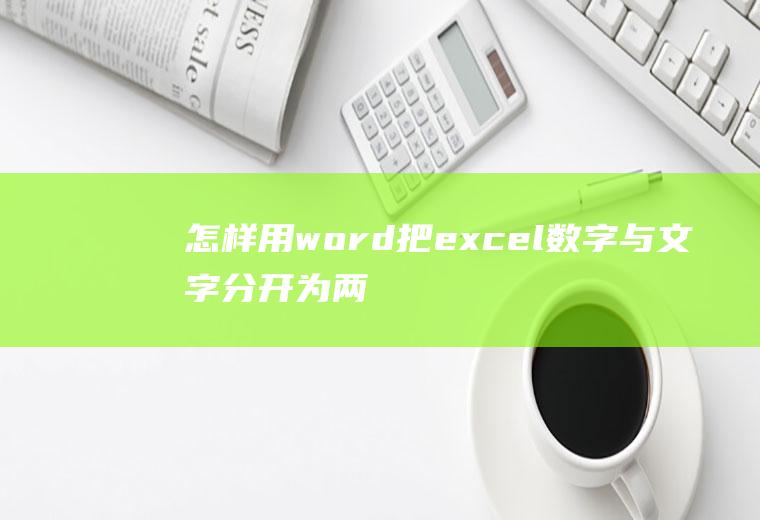 怎样用word把excel数字与文字分开为两列