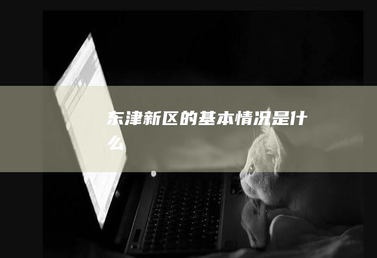 东津新区的基本情况是什么