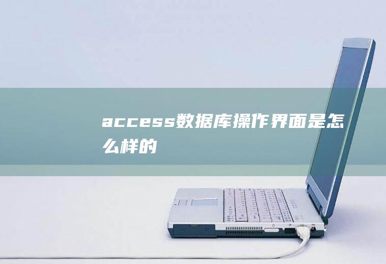 access数据库操作界面是怎么样的