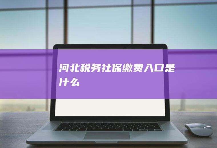 河北税务社保缴费入口是什么