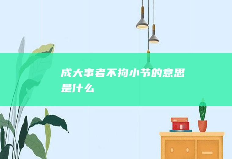 成大事者不拘小节的意思是什么